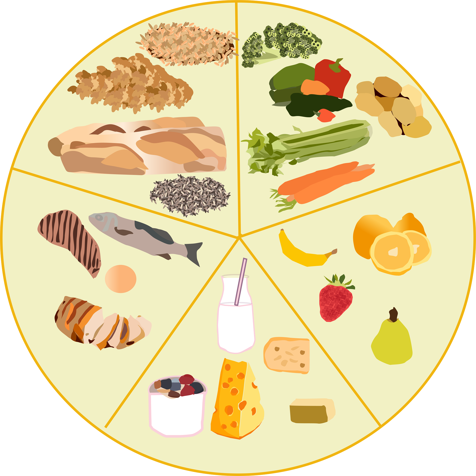 Food plate picture